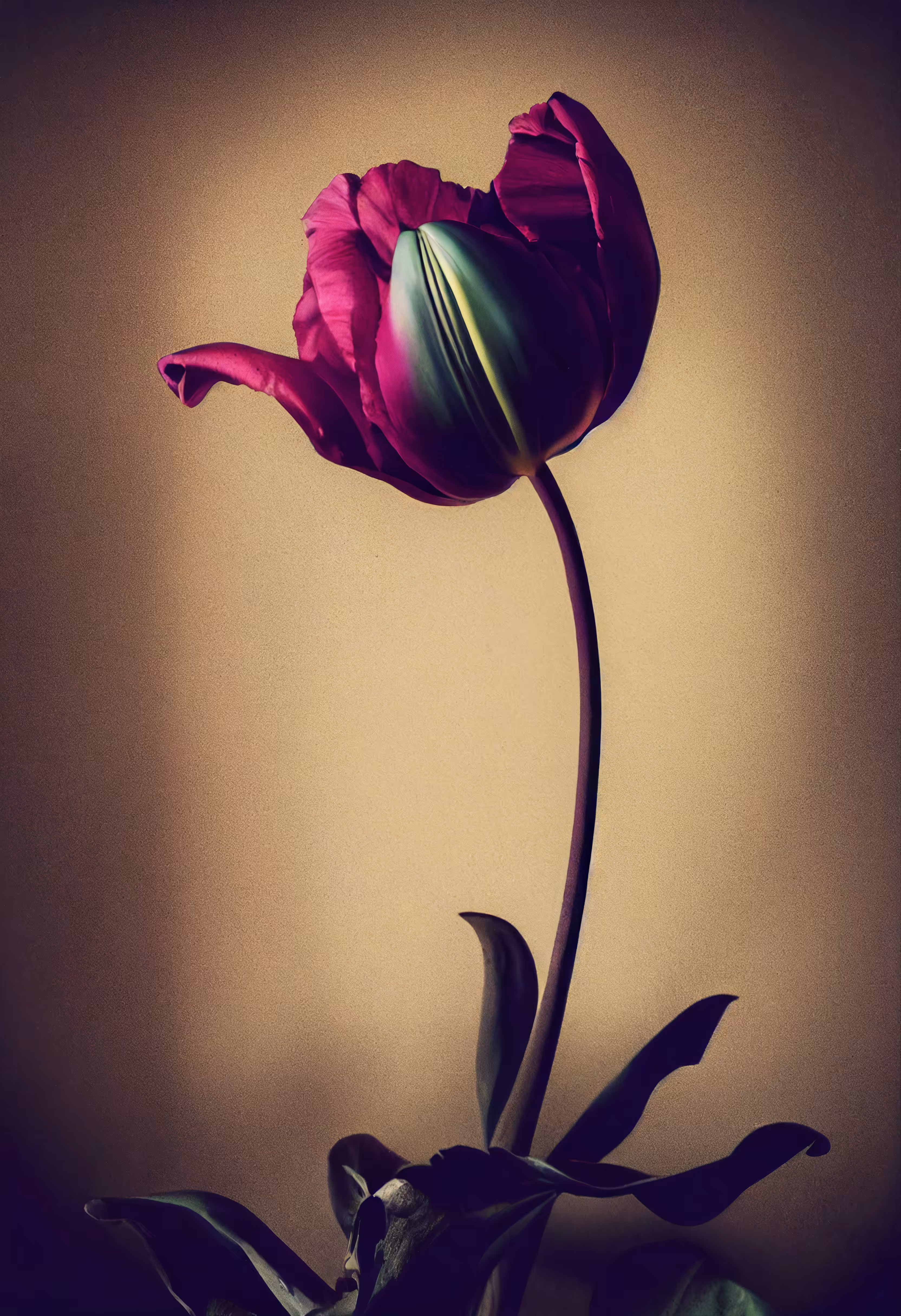 A Flower, Just For You. #147