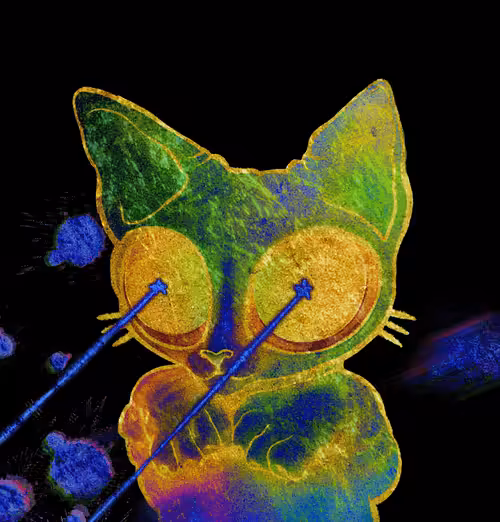 #7 ALIENKOT | UV