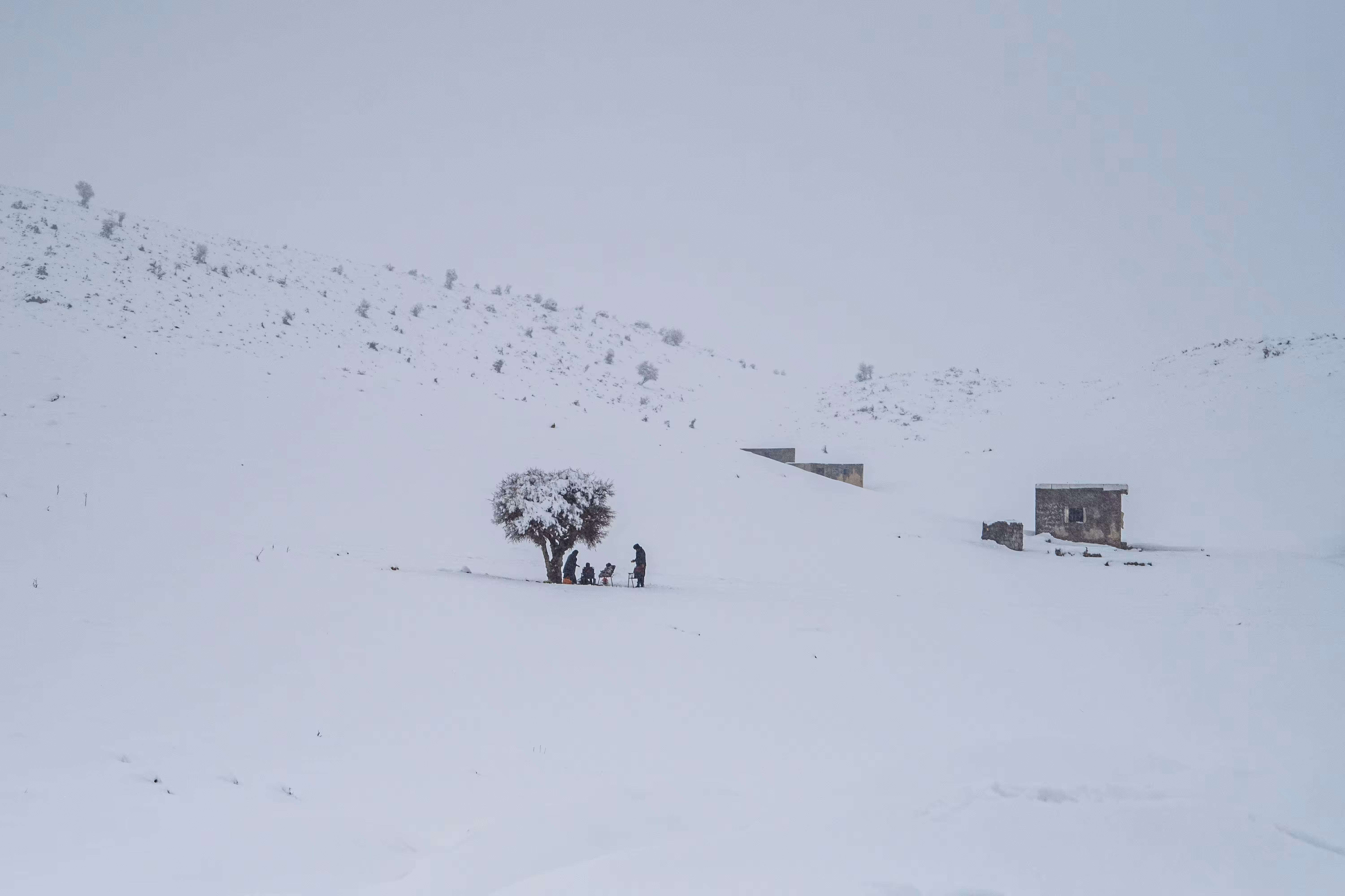A snowy day