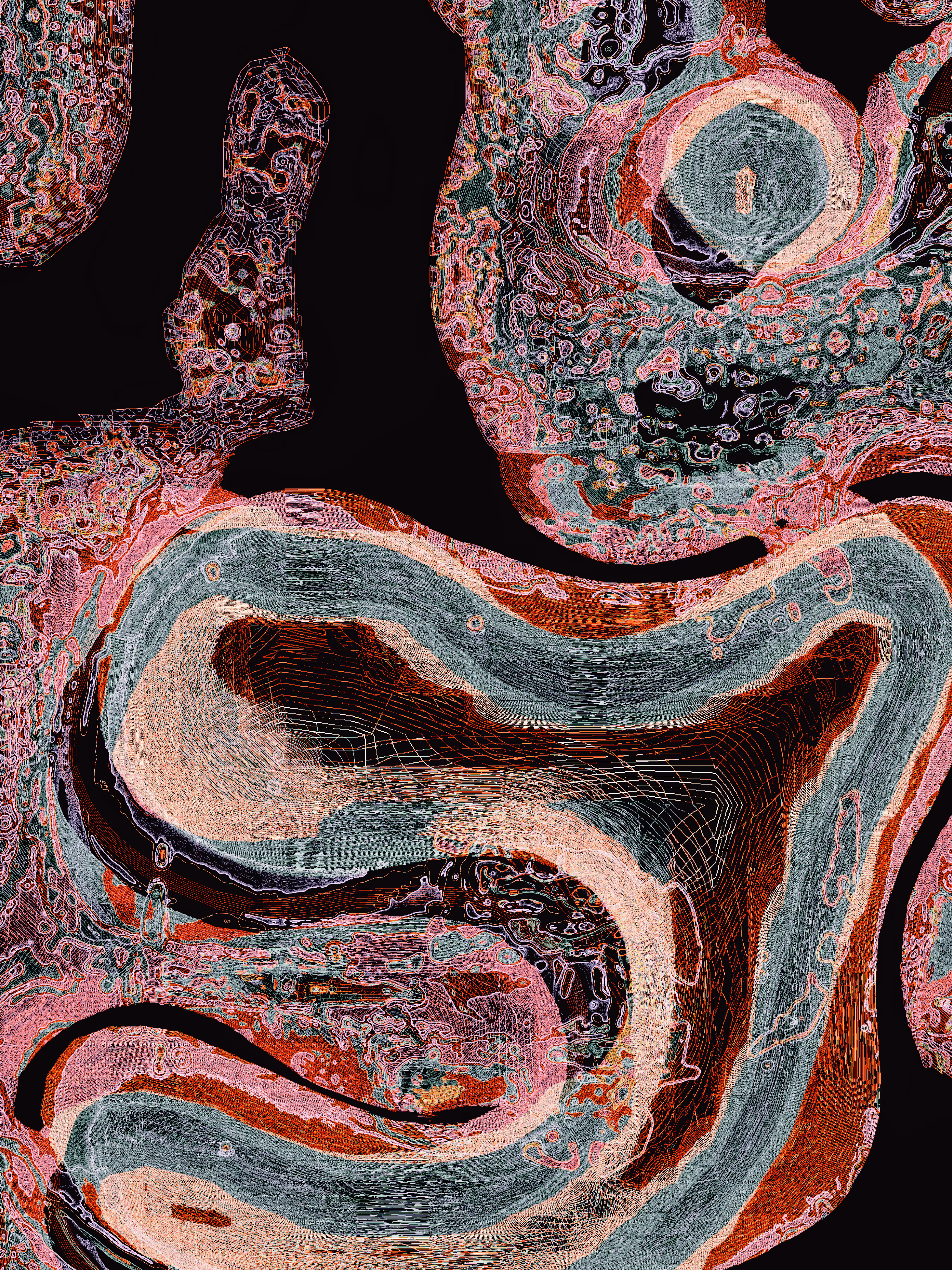 mimizu Untitled #6