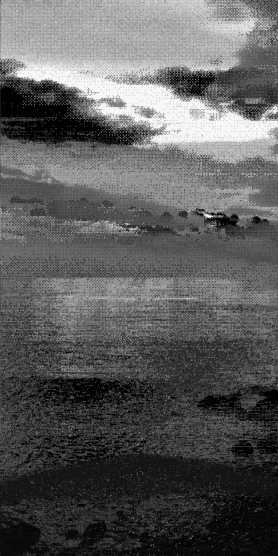 Horizon #41
