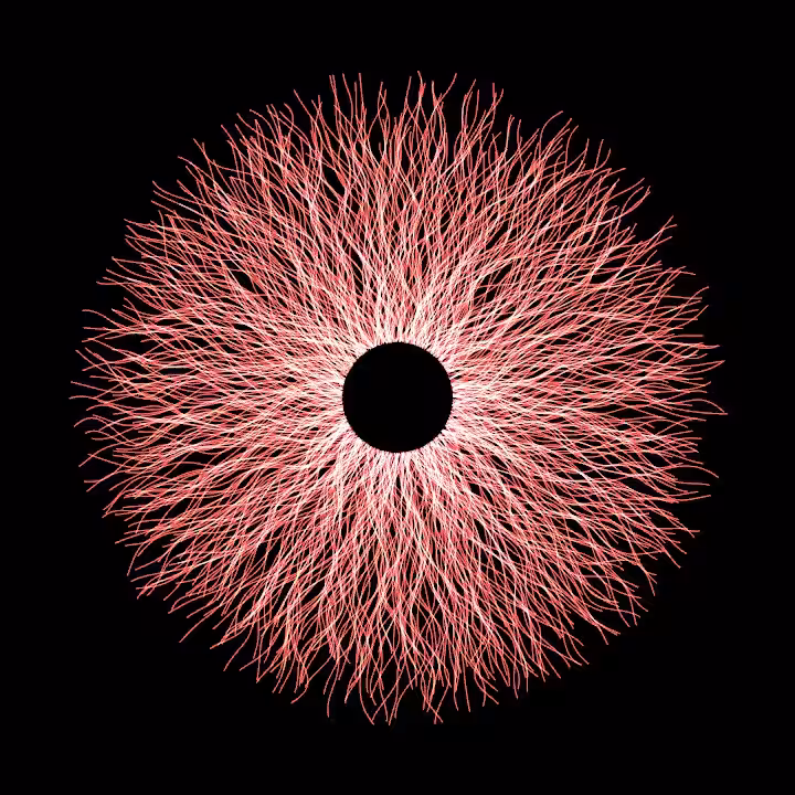 DoodleDeProgramming_20231127