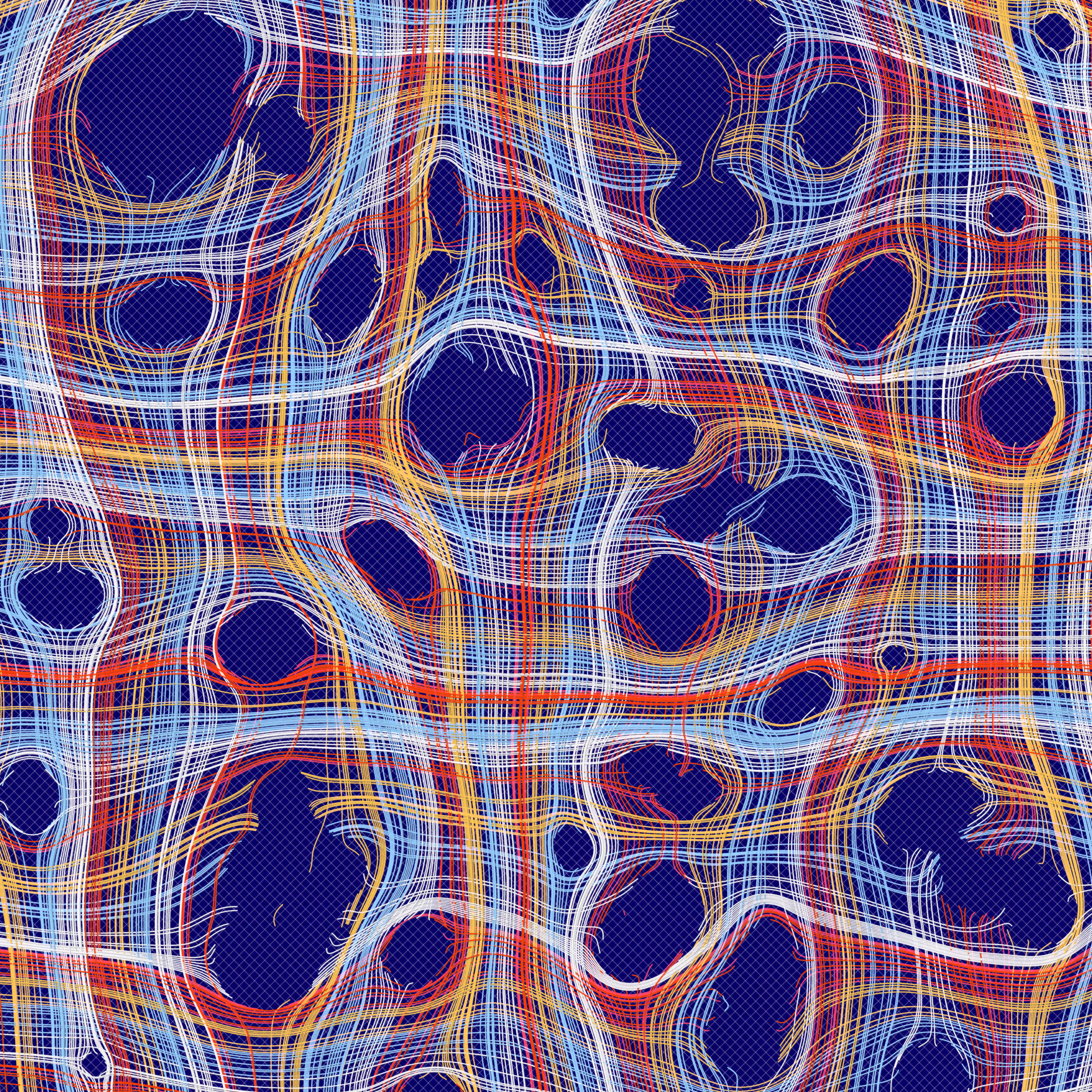 Warp