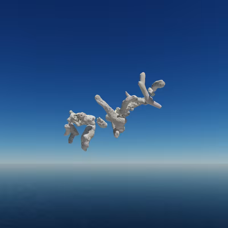 Bone Work (Gulf of Mexico) 2022 #17
