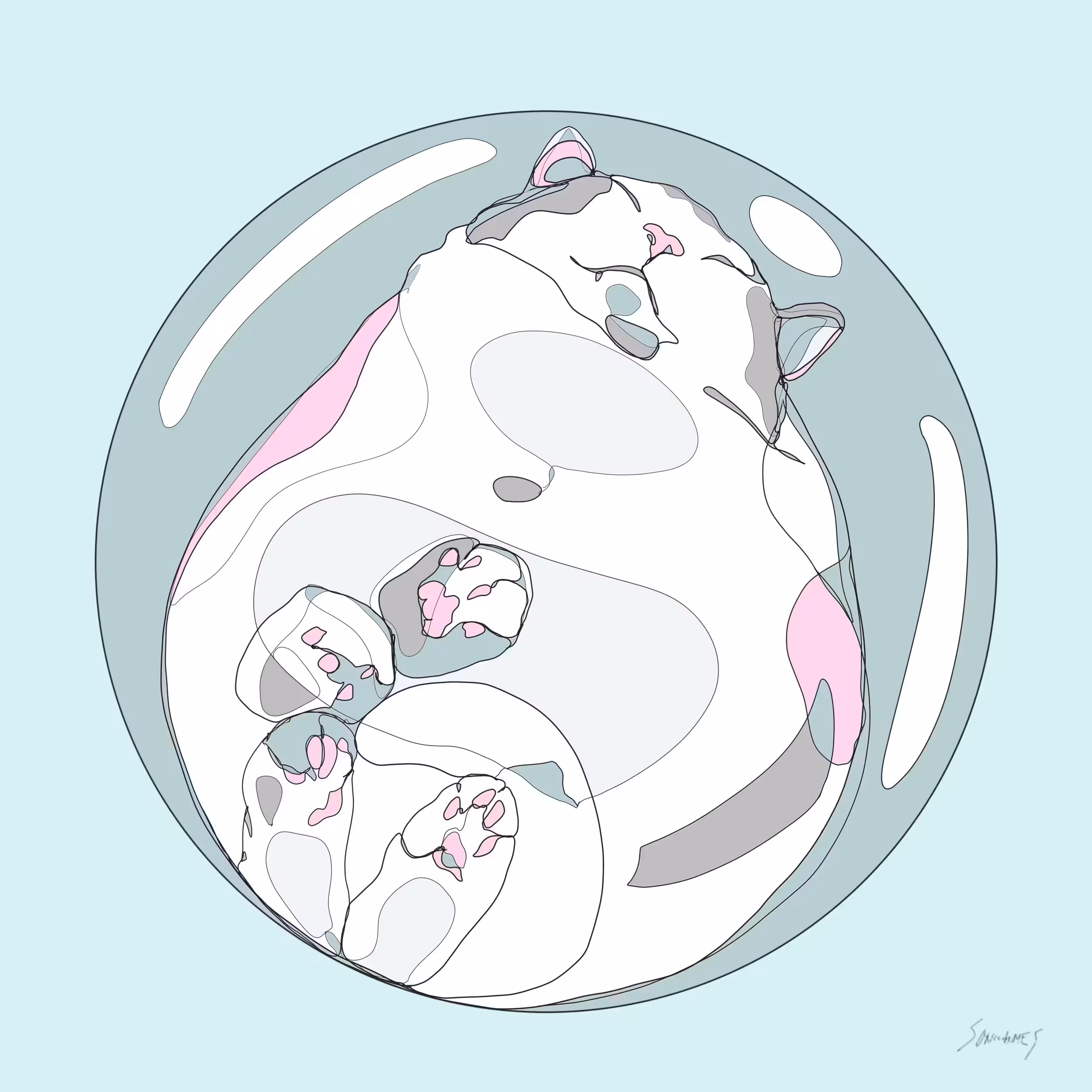 CAT IN A BUBBLE 2