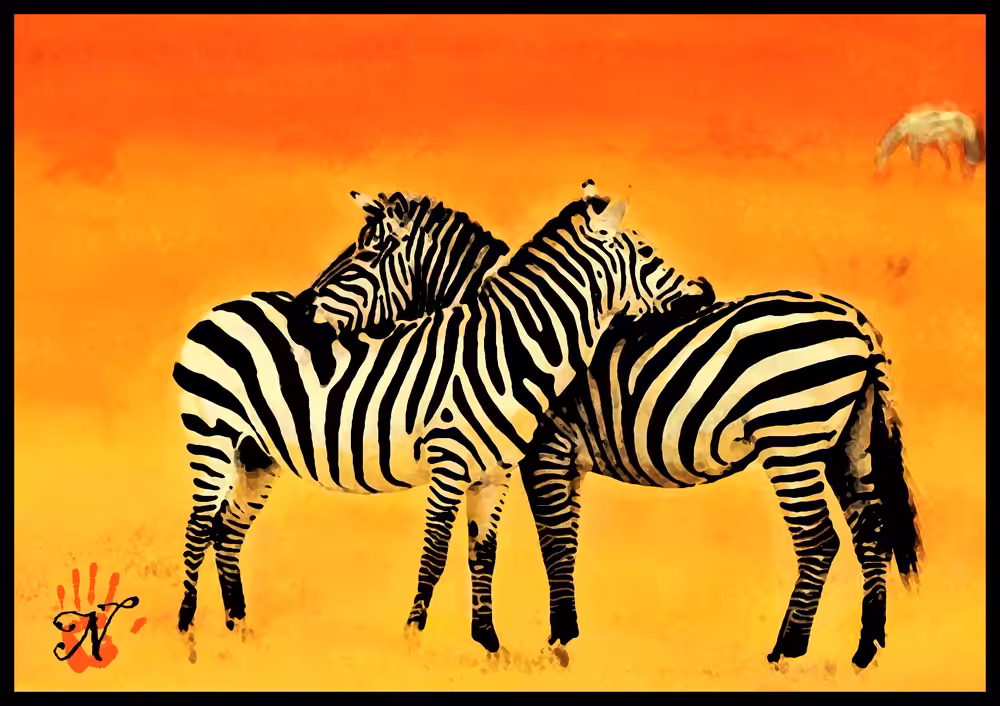 Zebra peace