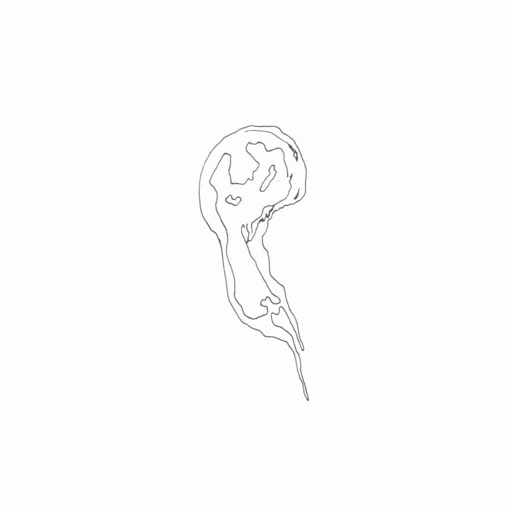 (o . ○)