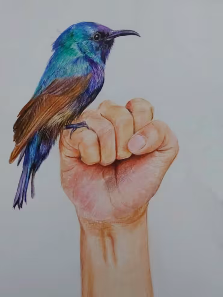 The SunBird's Hope 