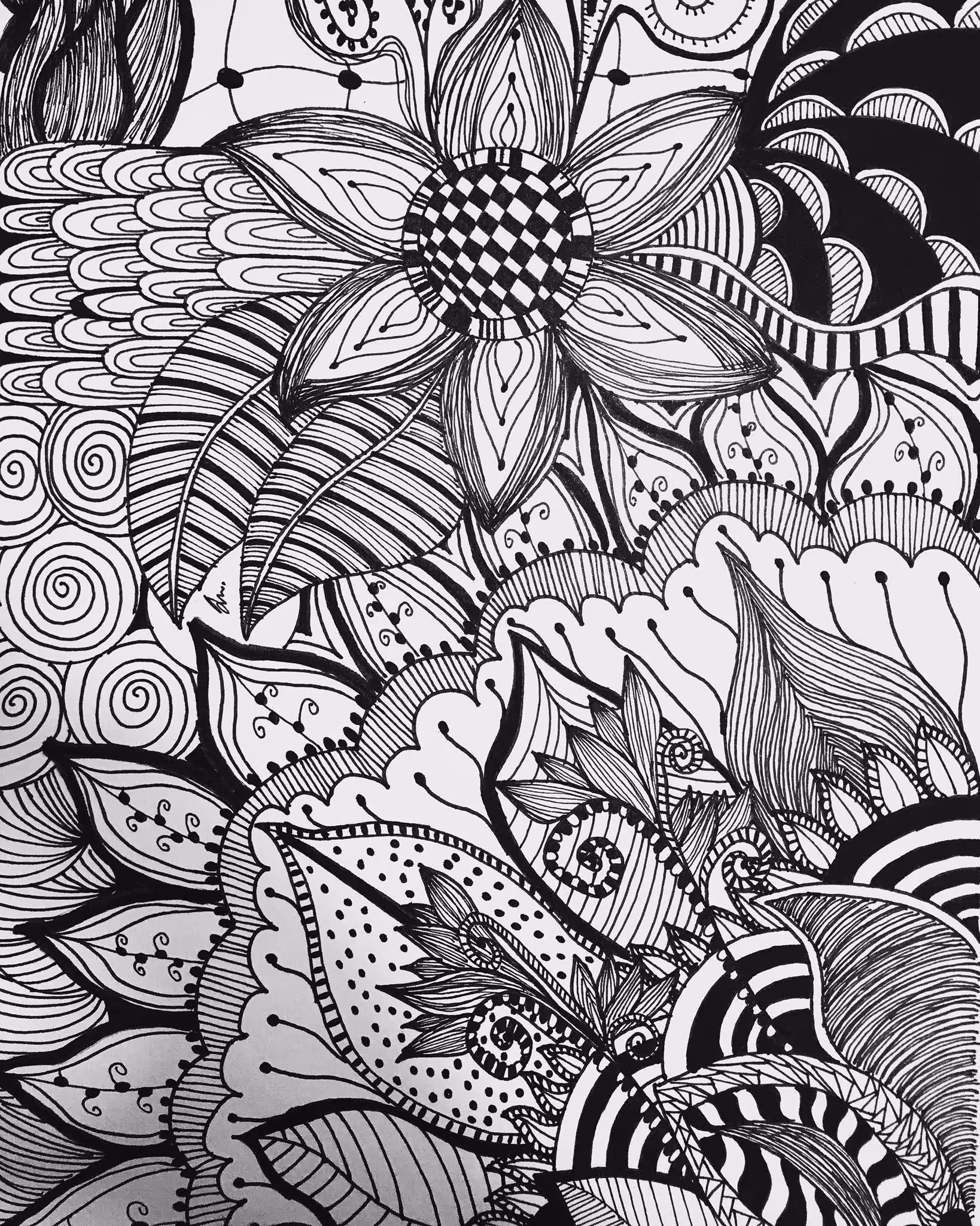 Nature , 02 , Alisa