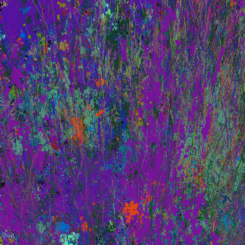 Infinite Garden: 97624 Flowers
