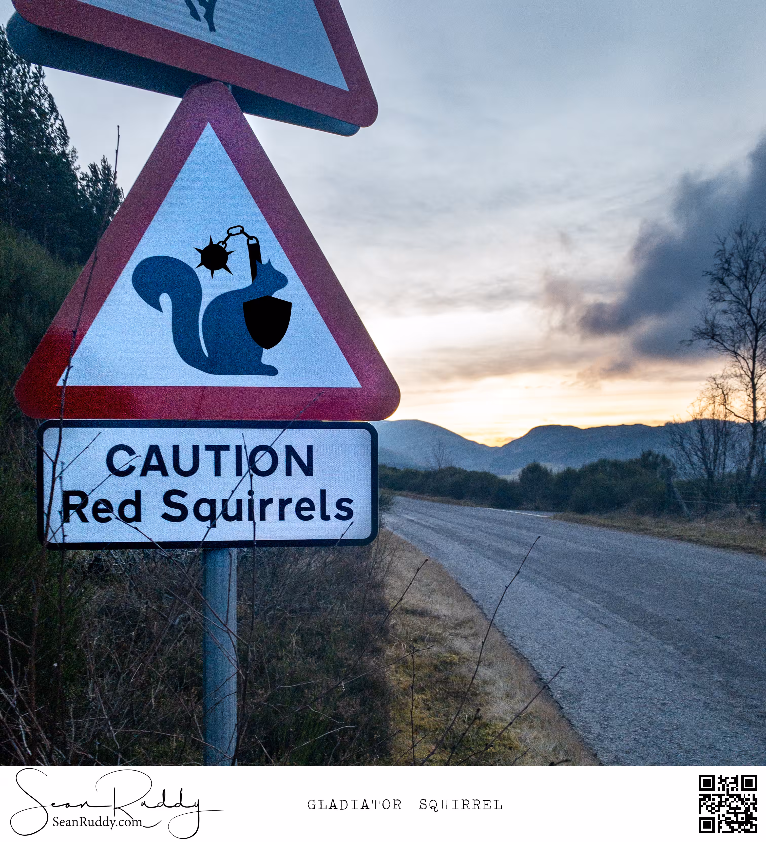 Gladiator Squirrel