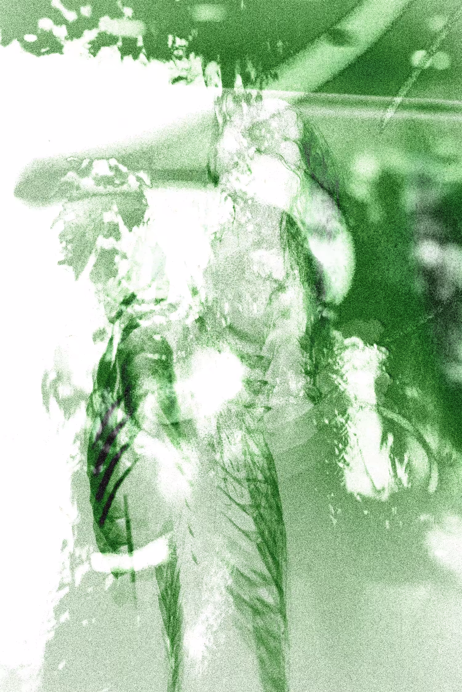 Green Stone Concept #1 // Sensation