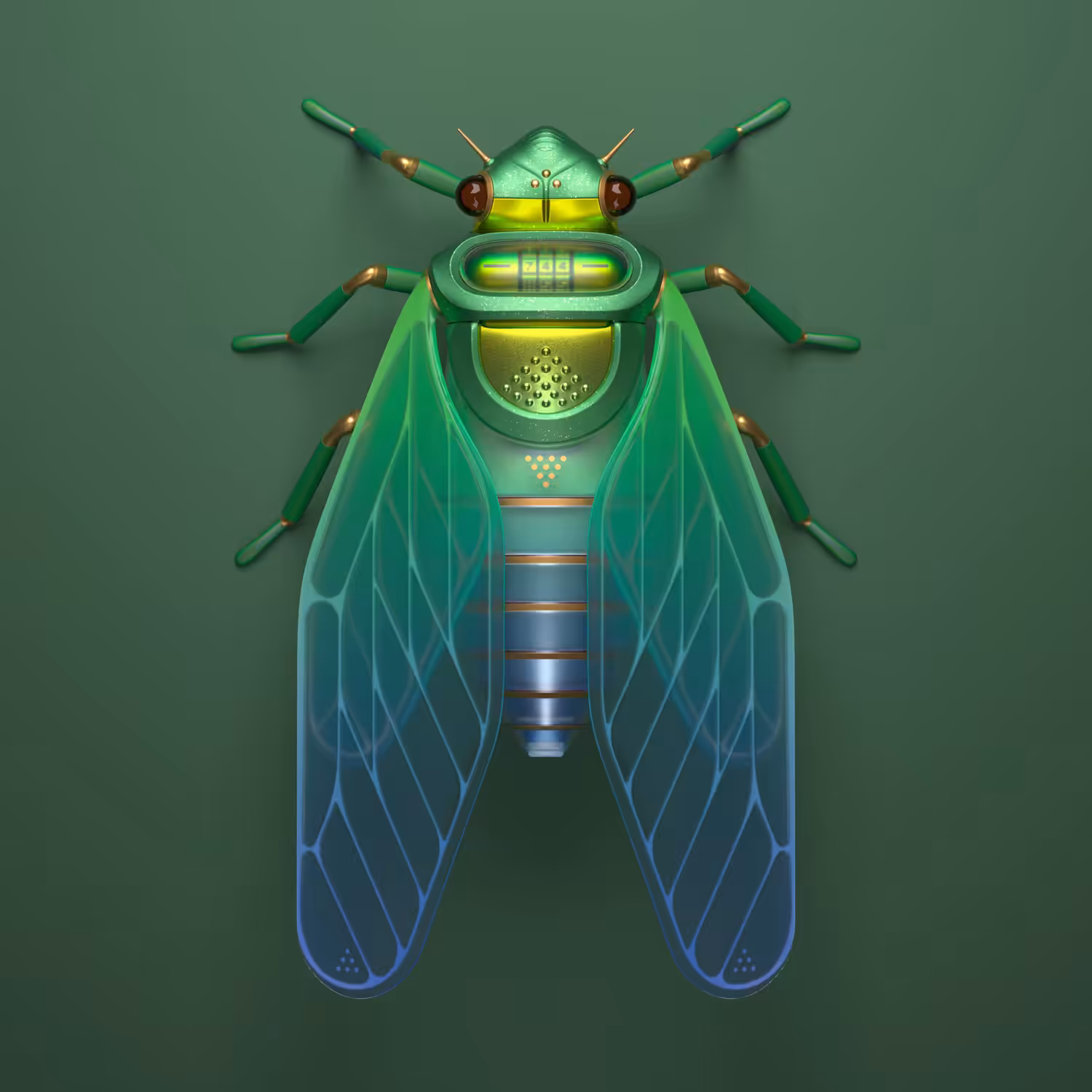 Cicada