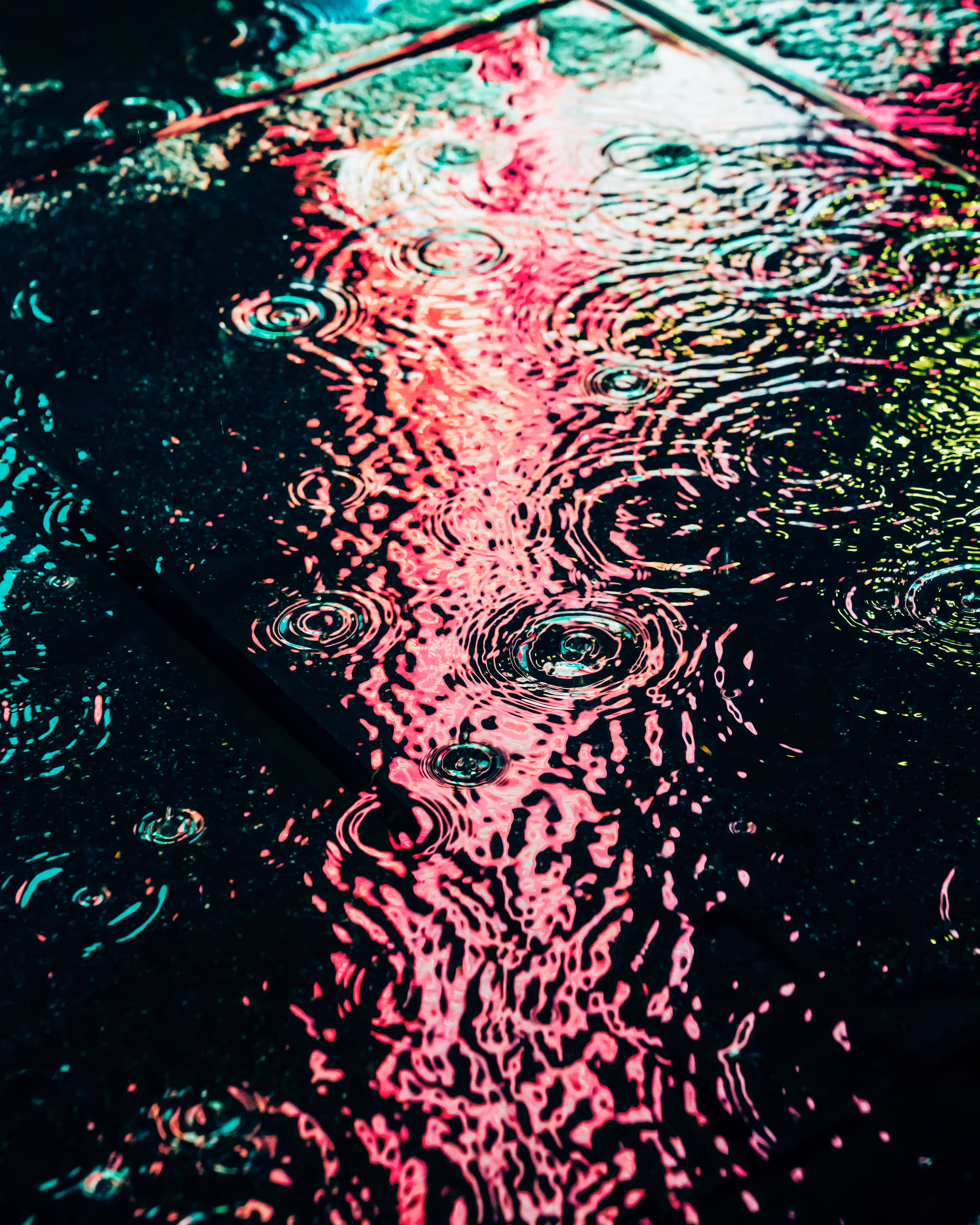 DRIP #954