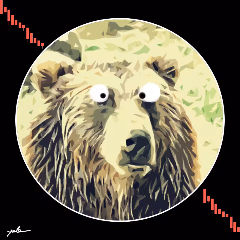 Bears VS Bulls #3