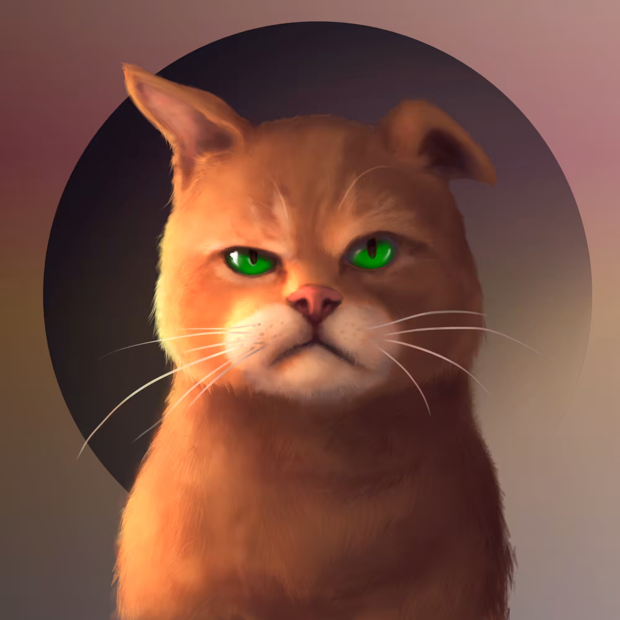 Gangsta Cat #31