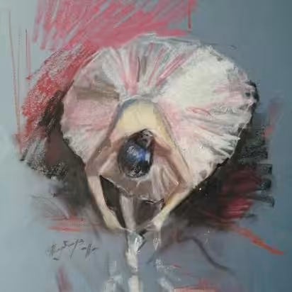 Ballerina