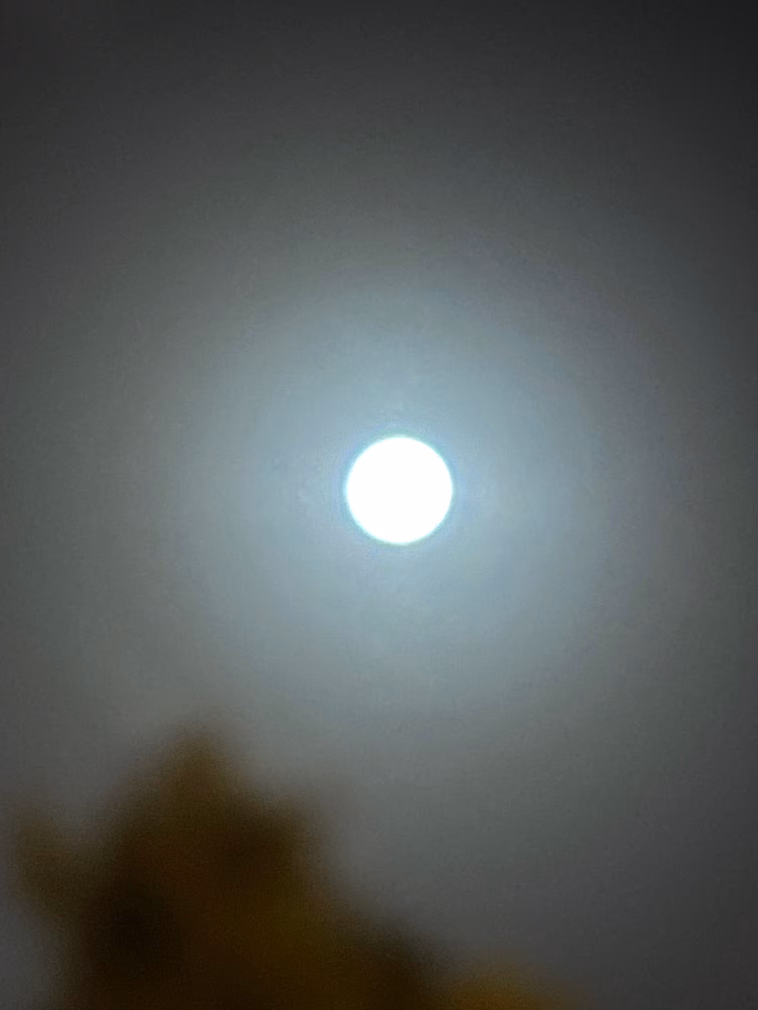 LIFE PHOTO GALLERY: NO. 12