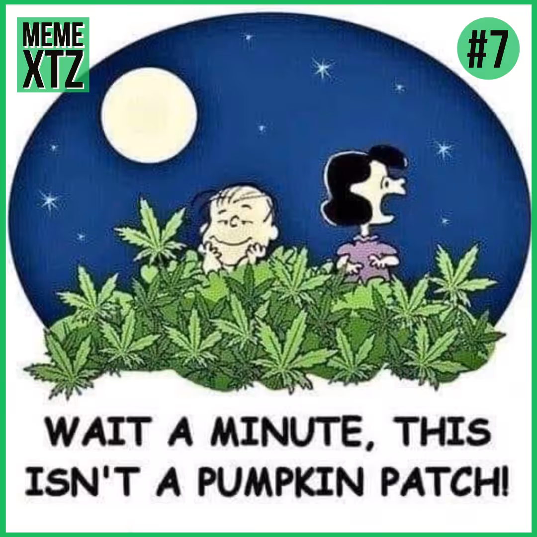 MEME XTZ #7