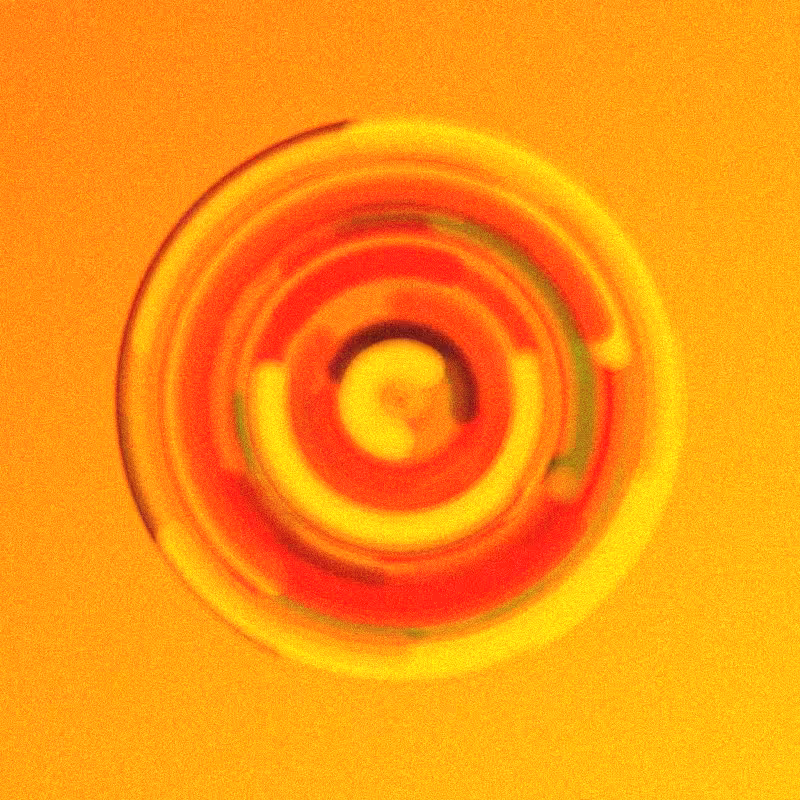 Wisp #324