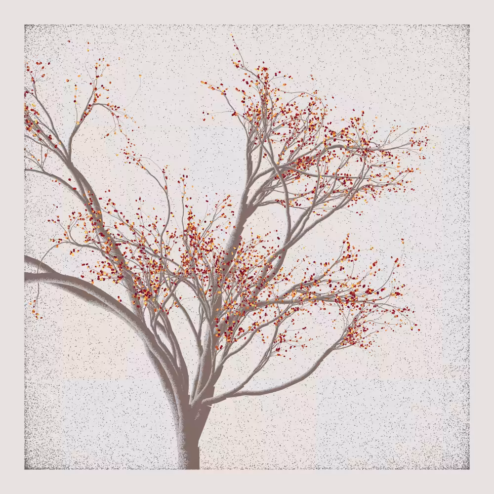 Bougainvillea #21