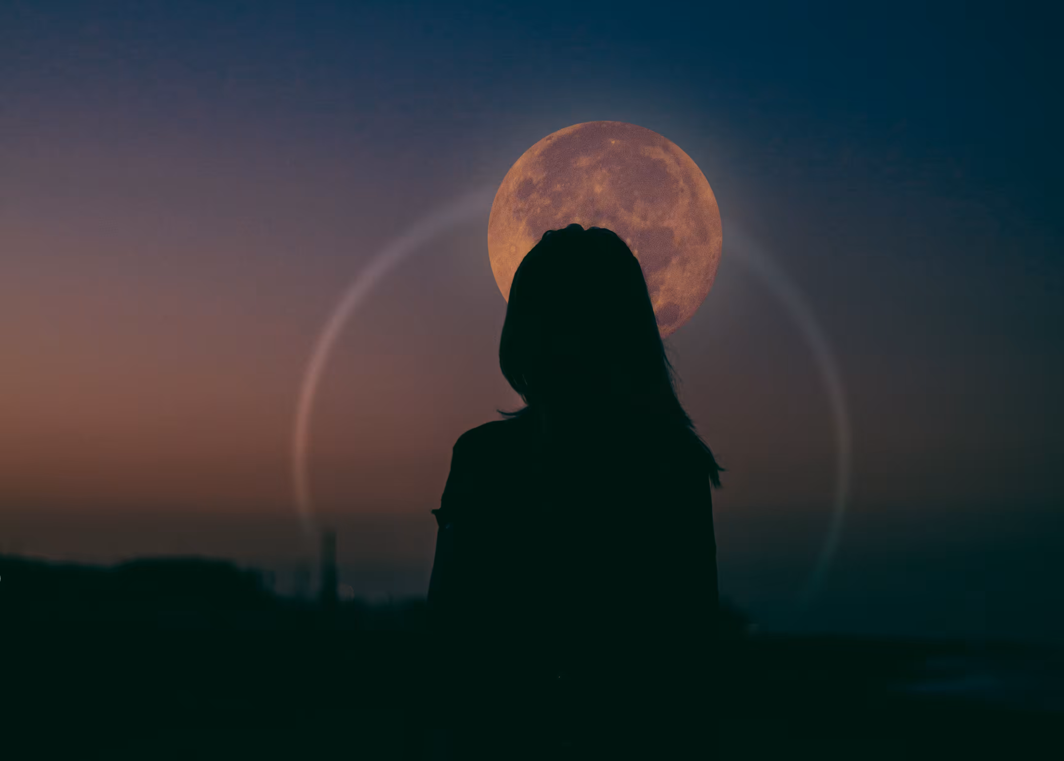 DISEMINO: Moonbright
