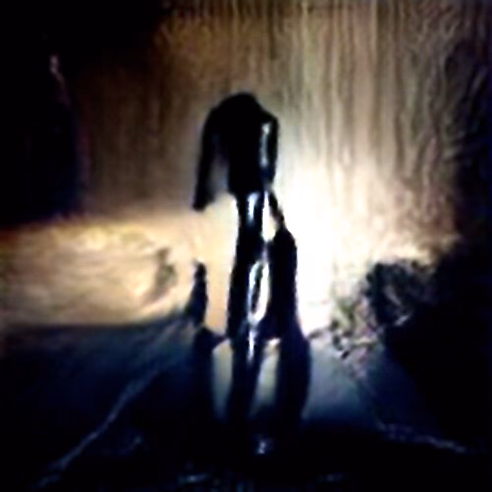 Shadow #7 (Corpus: Things That Exist Negatively)