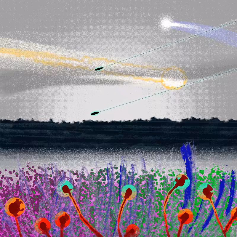 Ceshan's Psychedelics #599