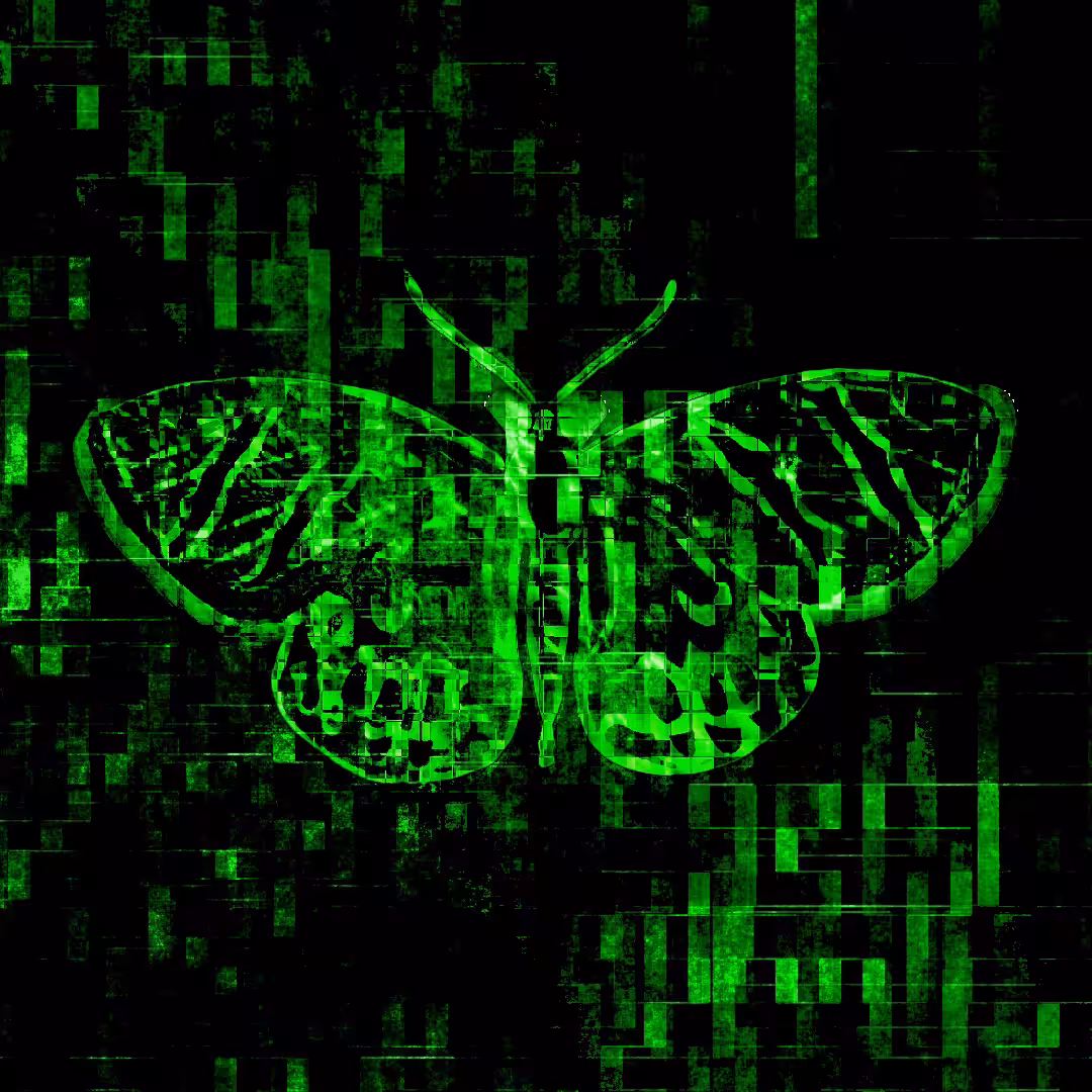 #1 Butterfly Effect