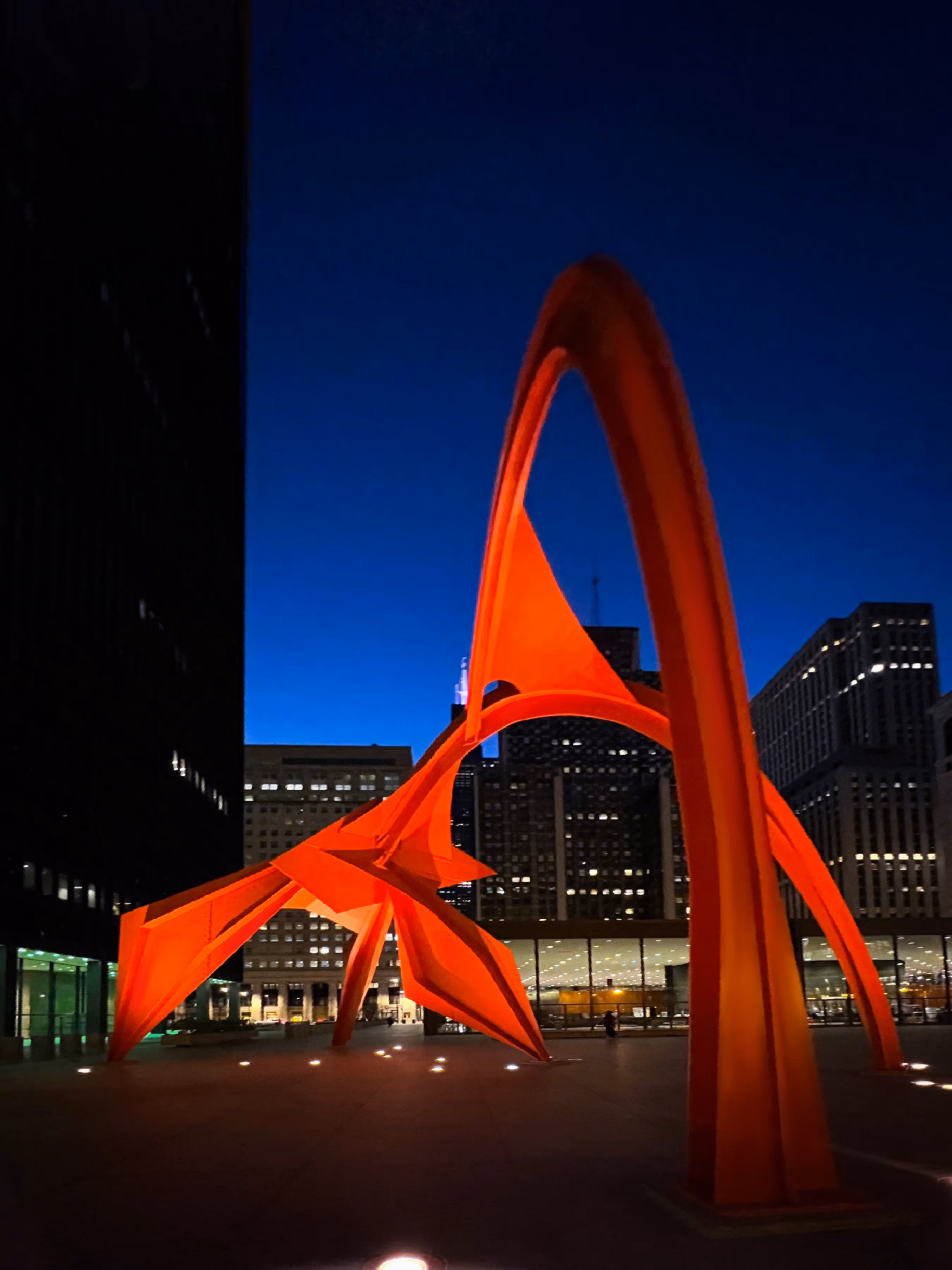 Flamingo in Chicago 