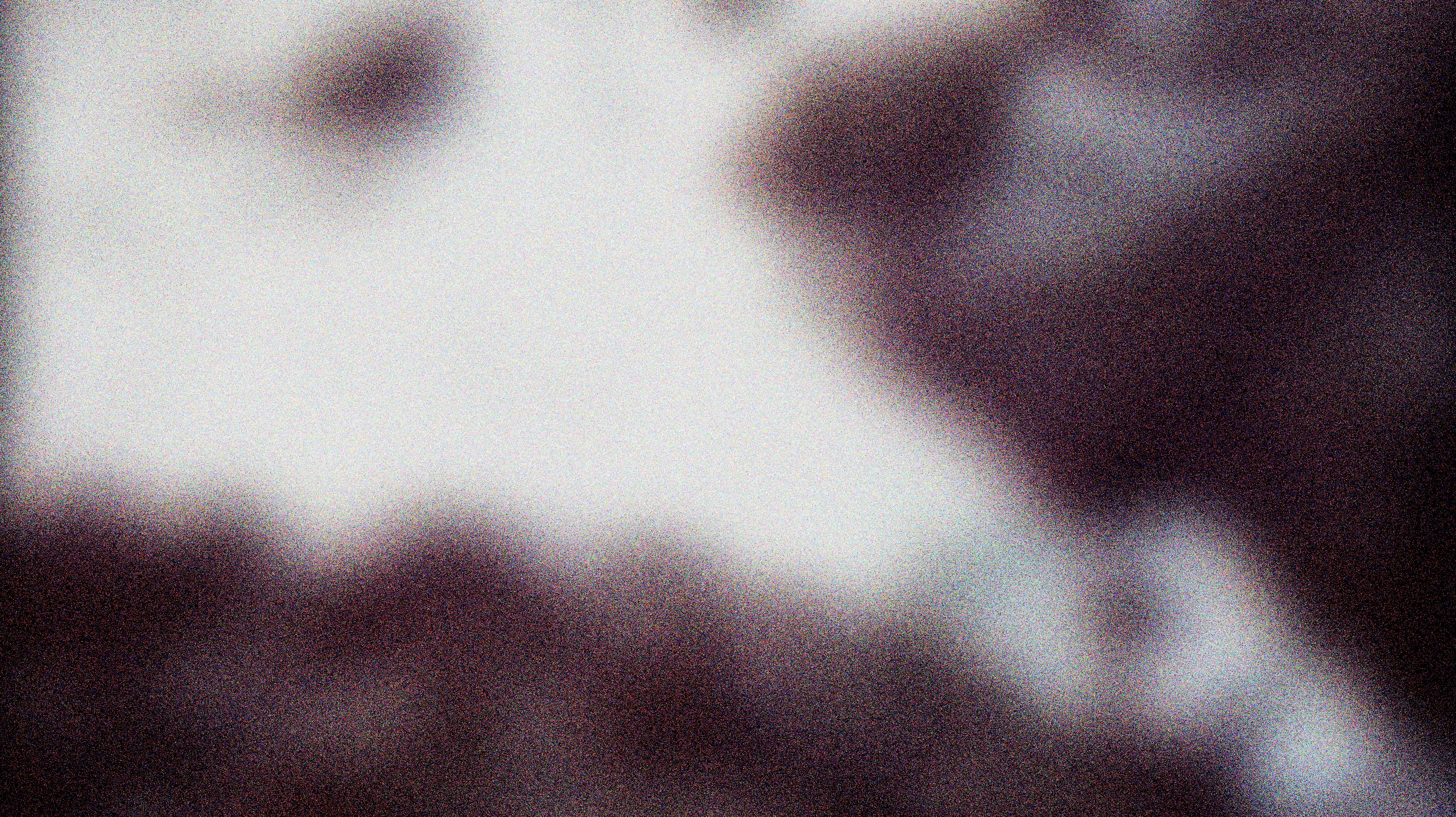 THE ZOO: Waves 2