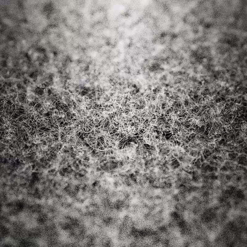 Field of noise #23