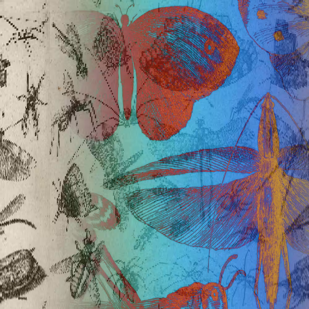 hash insects #7
