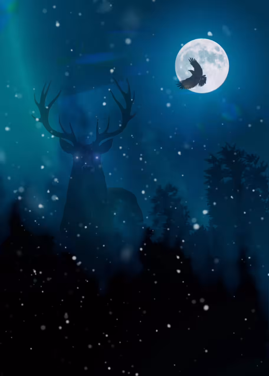 Nocturnal Mysteries