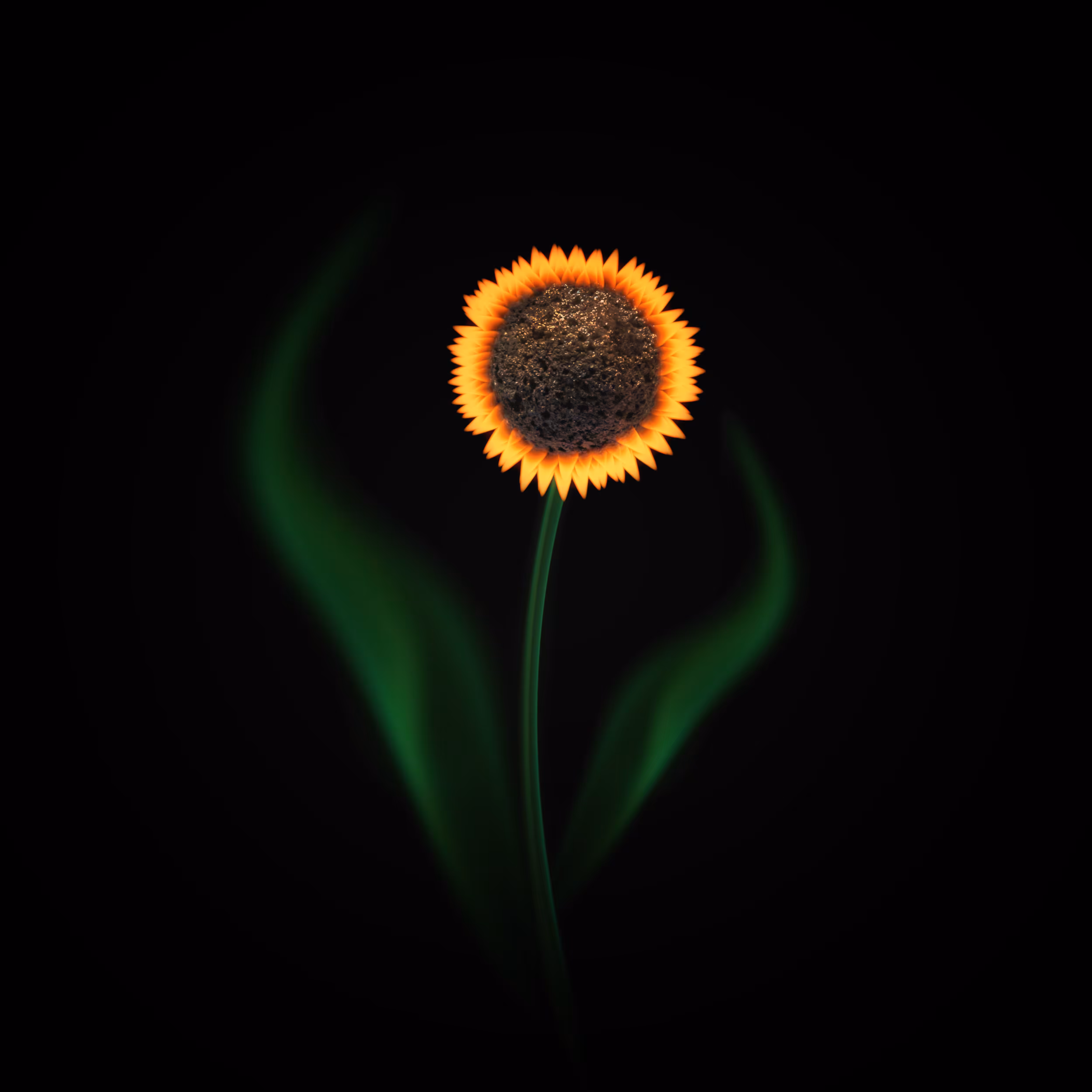 #36 - Sunflower