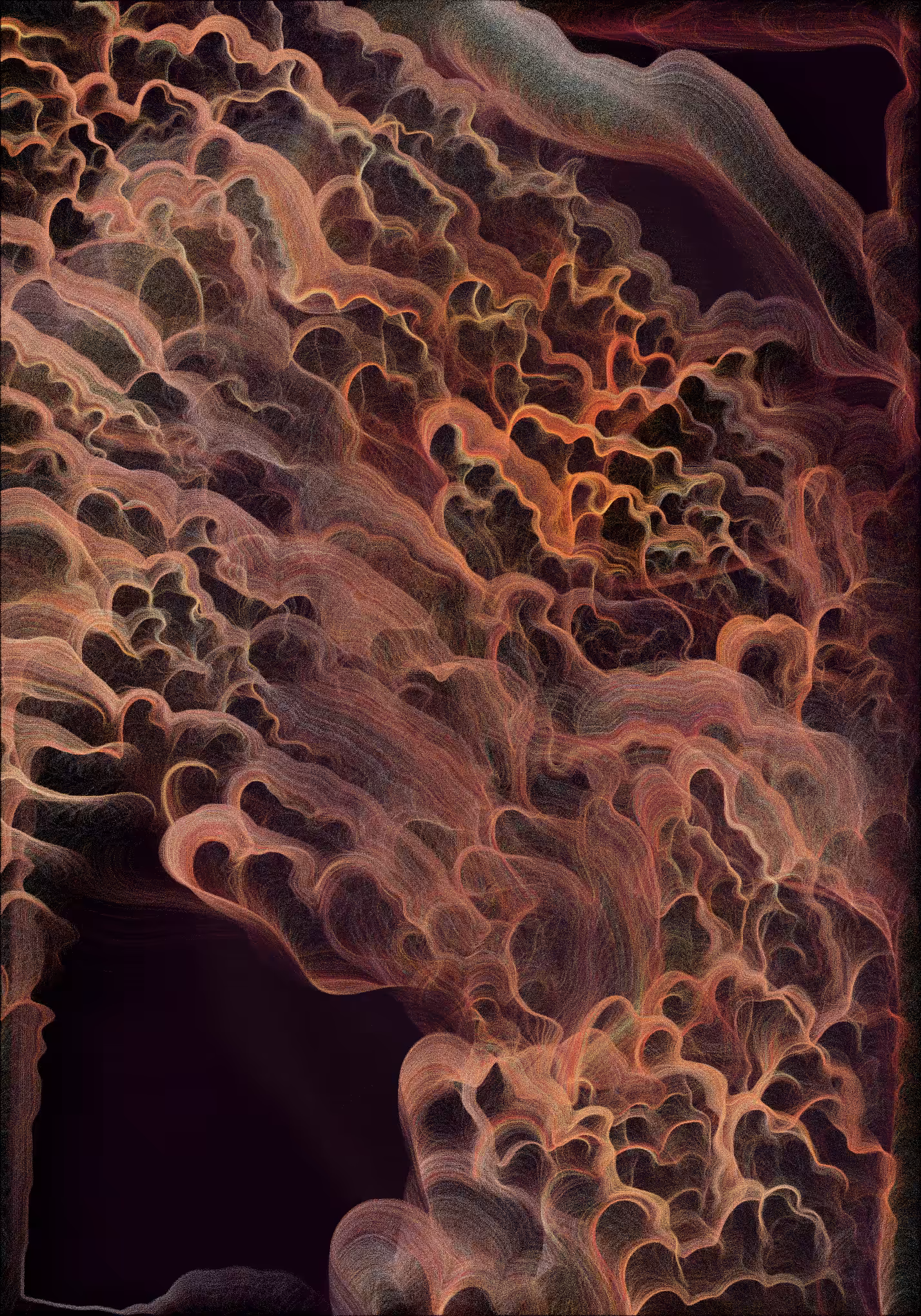 Bloom #11