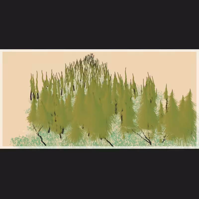 Flat Valley #30