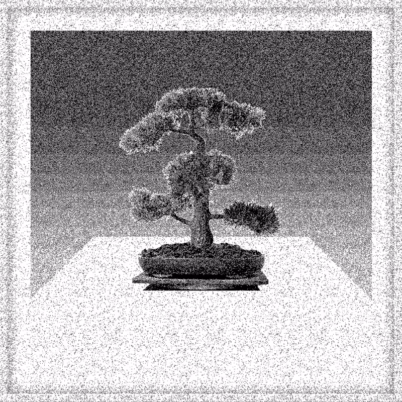 Bonsai Bonanza #745