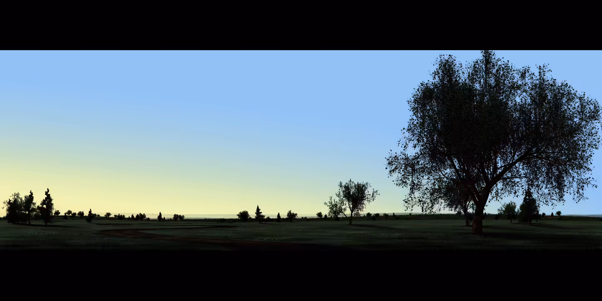 Mornings #37