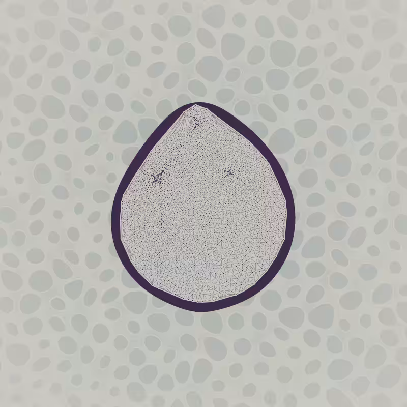 Protista #32