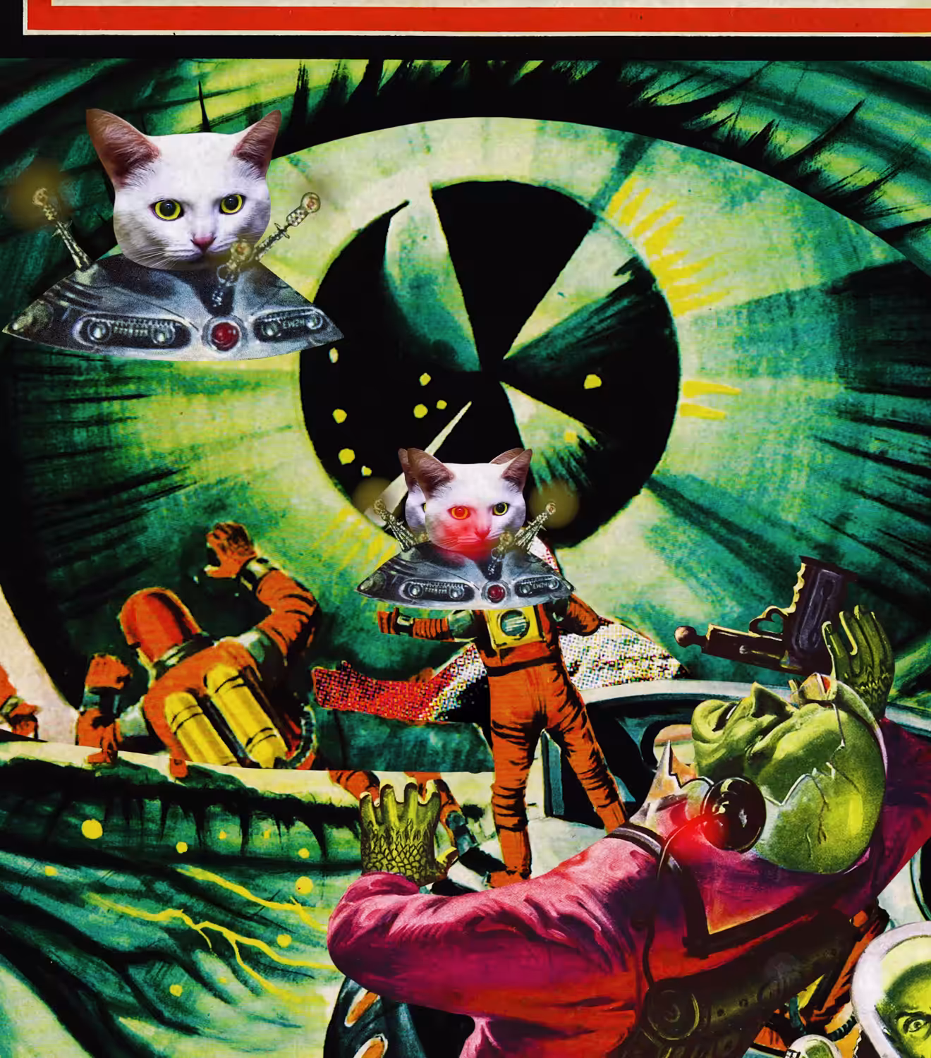 Cat invasion 