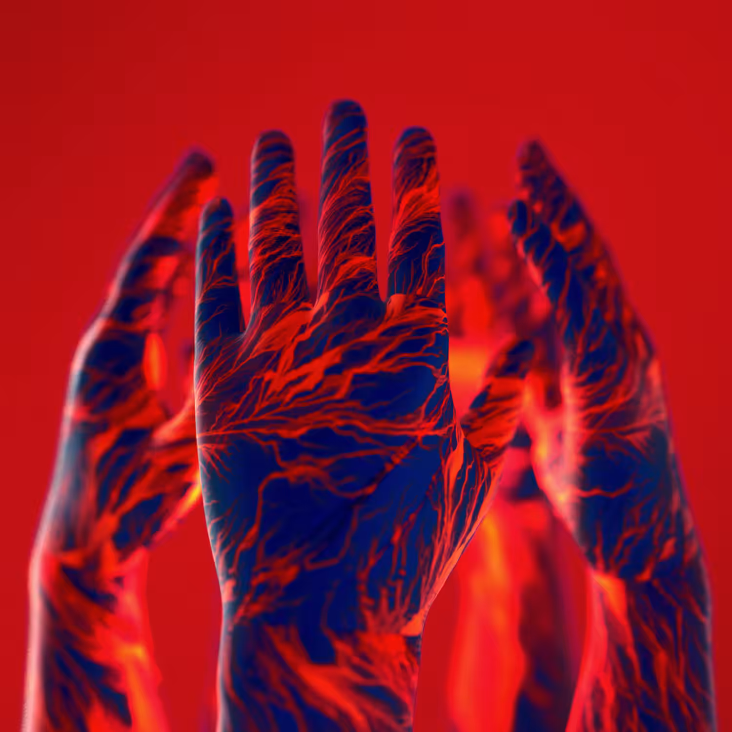 Reach | 01.08 |