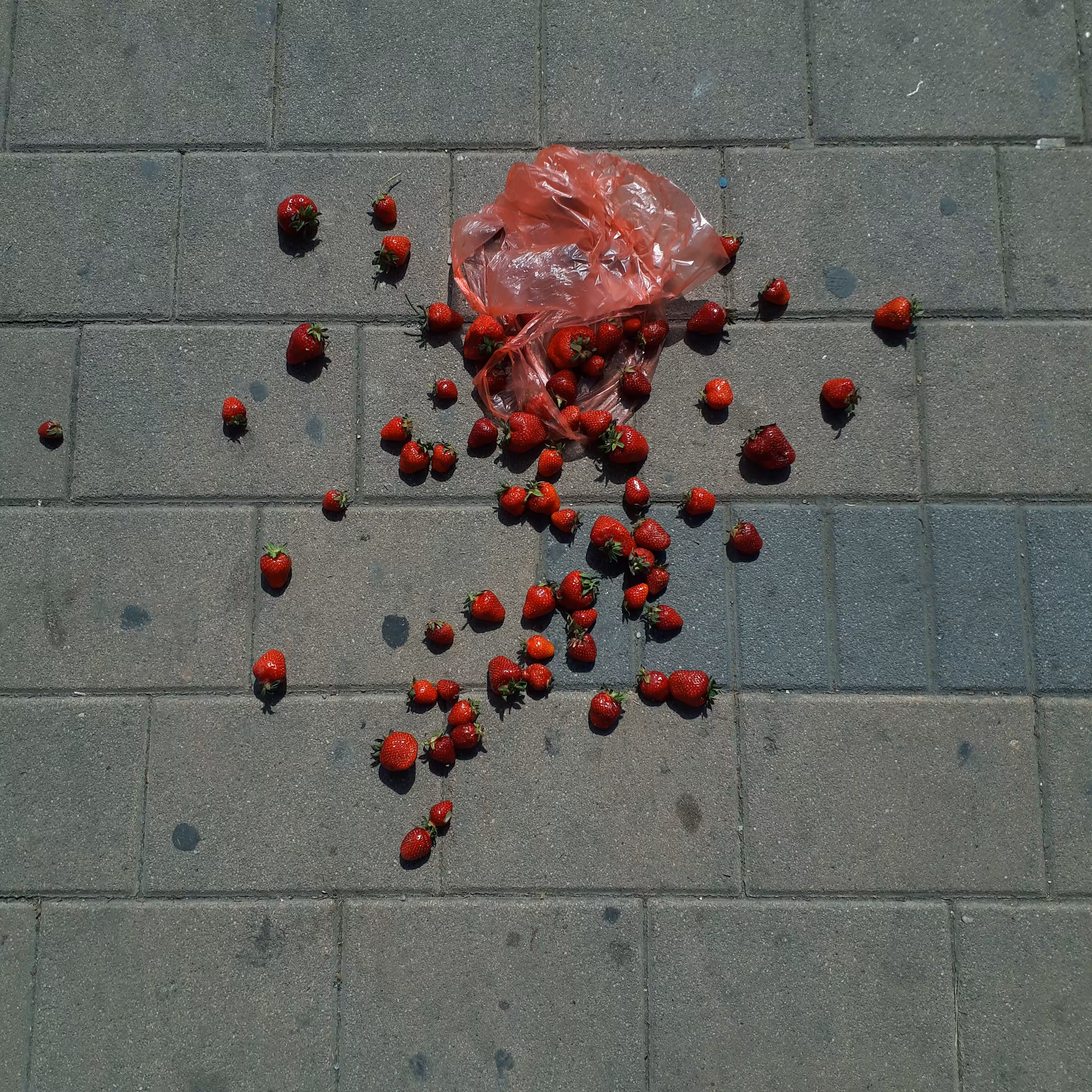 strawberries