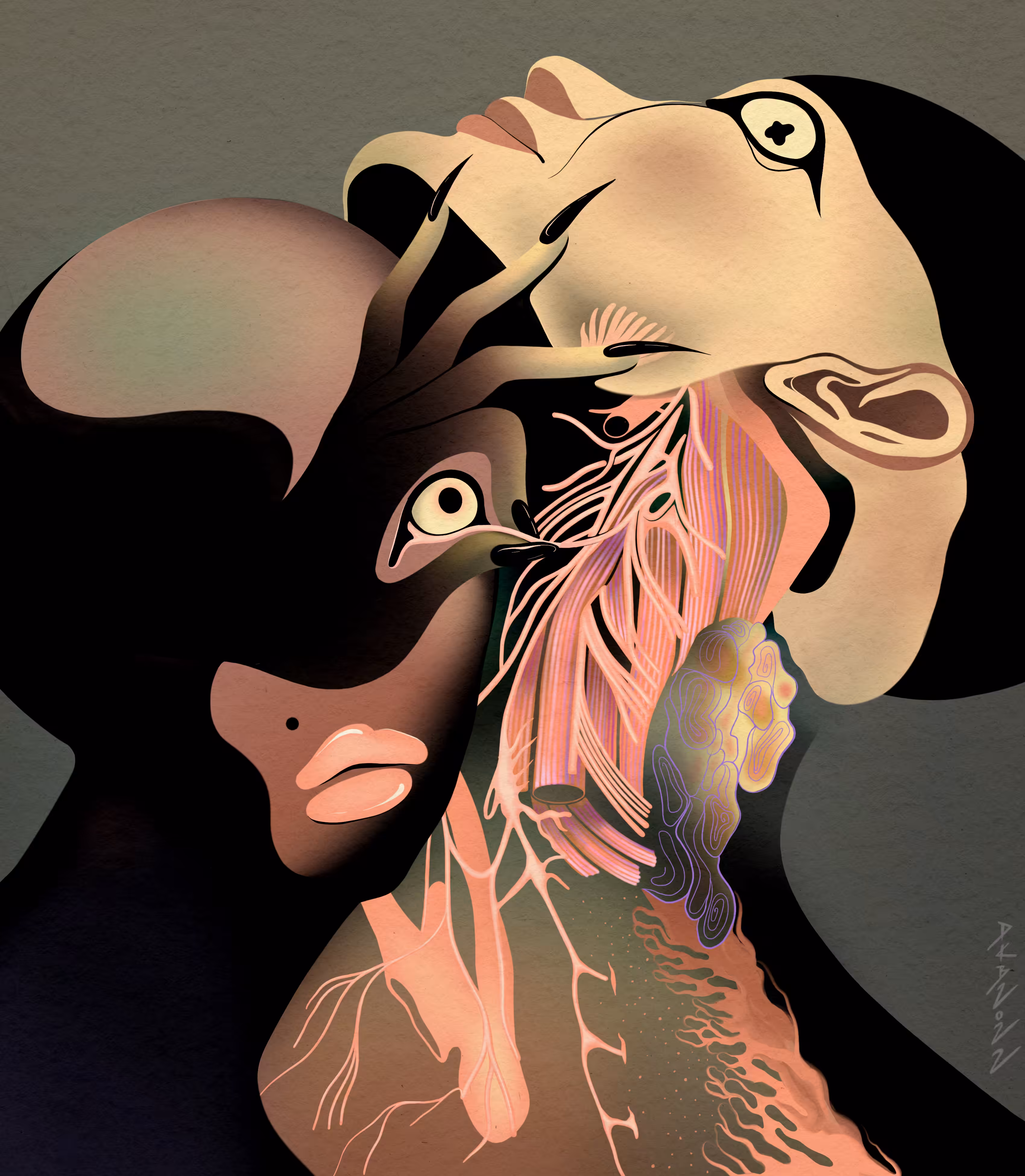 Anatomy Fiction