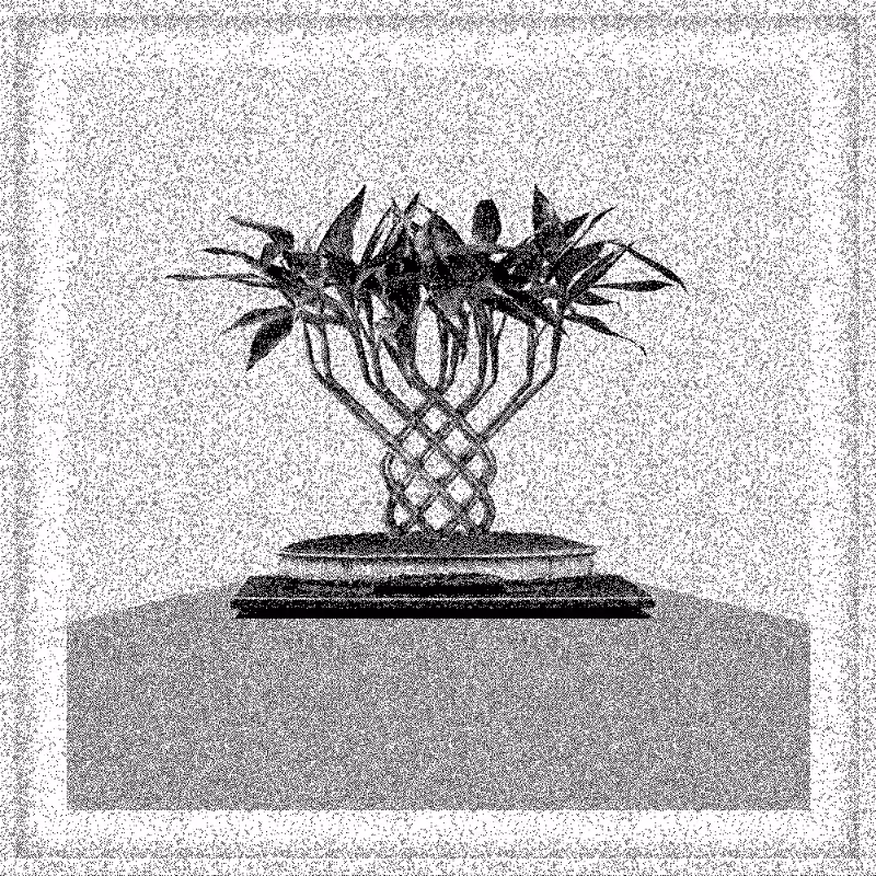 Bonsai Bonanza #685