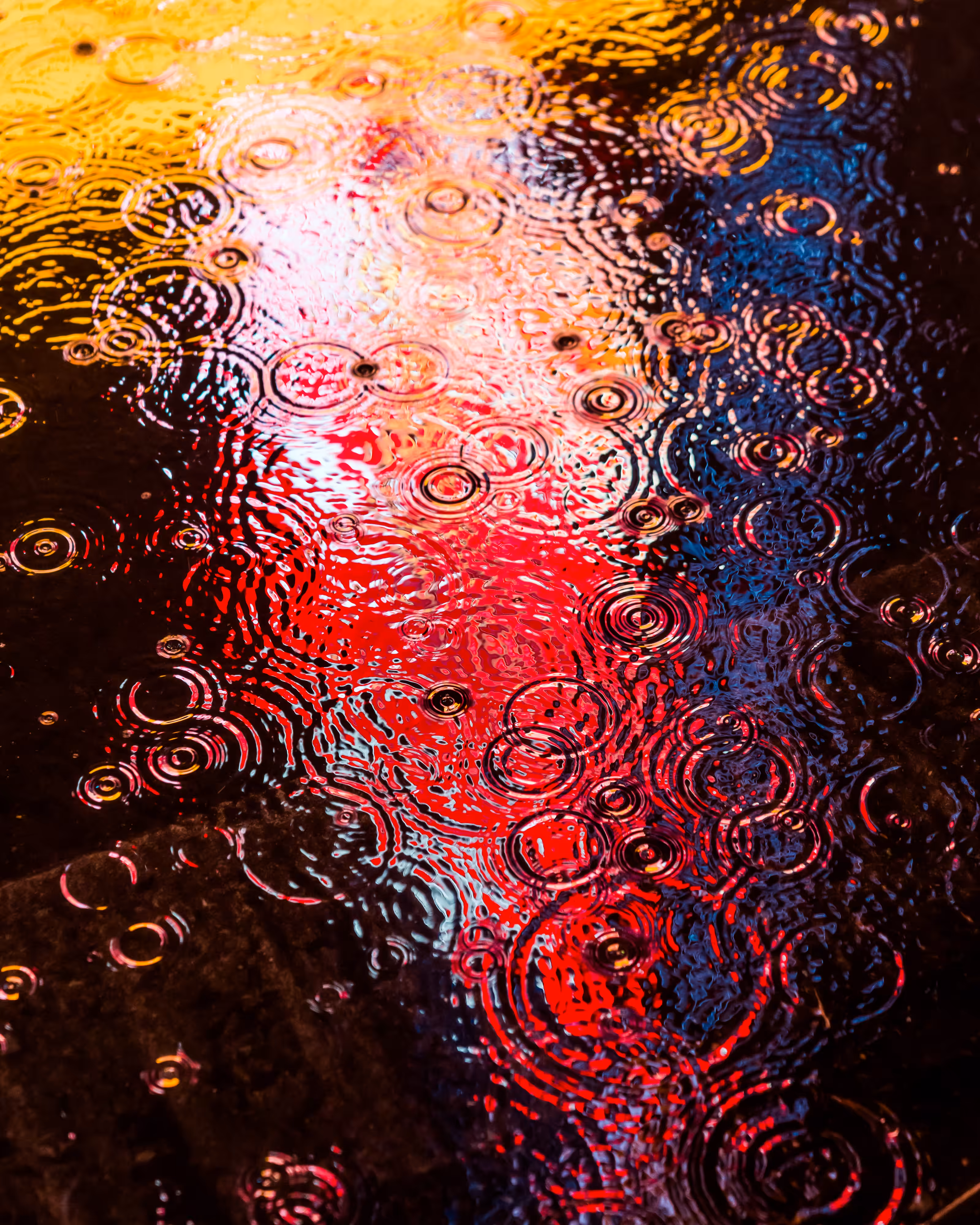 DRIP DROP: DRIP #710