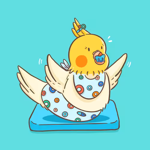 Frxxt Lxxps Cockatiel 🐤