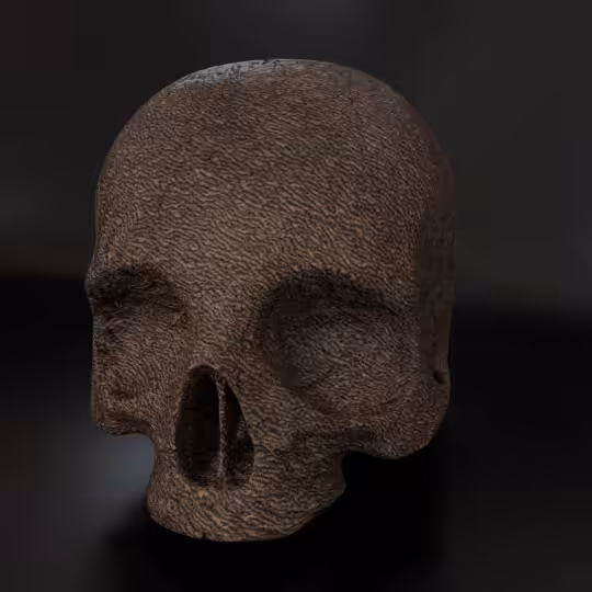 SkullZ #203