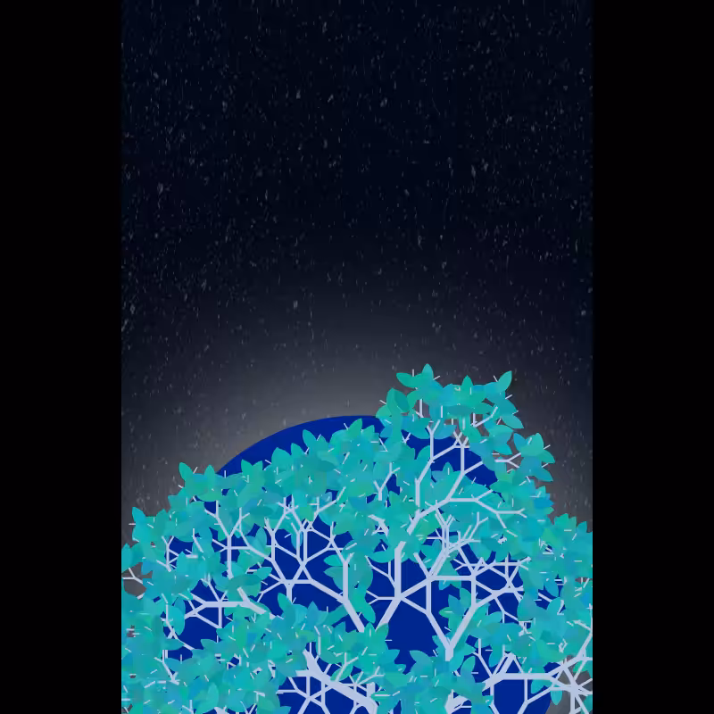 Moonlight Sonata #13