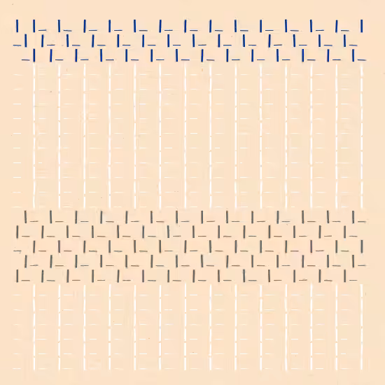 /--/--/ #55